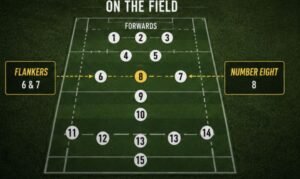Difference Between Flanker and Number Eight For Rugby Back Row 